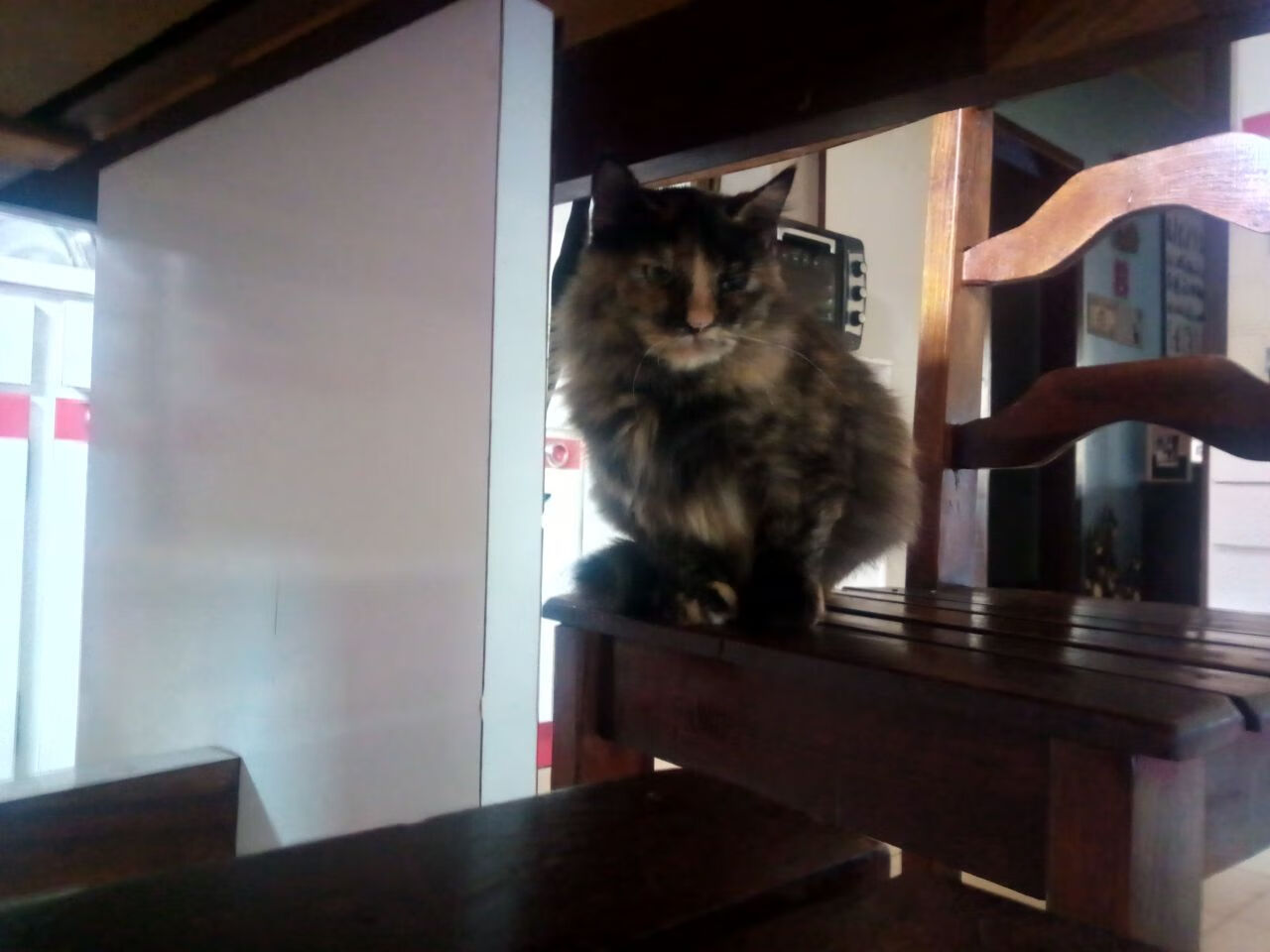 【新规带来新玩法】“悬空球”让战术丰富多彩，悬空球怎么放